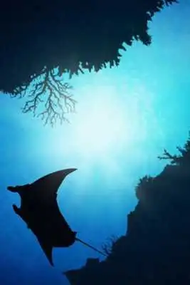 Play SUBMARINE LW[FL ver.]